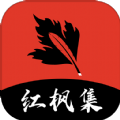 A片网APP应用